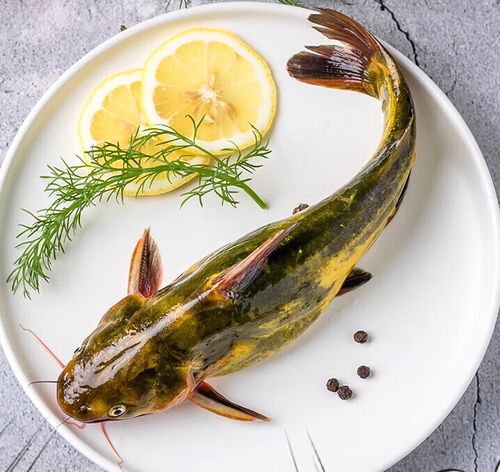 昂刺鱼 新鲜现杀黄辣丁昂公嘎鱼团购中秋团建生鲜 2斤装