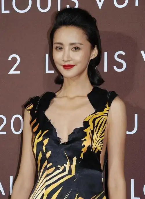 张歆艺,一位多才多艺的女演员,凭借出色的演技和独特的魅力征服了无数