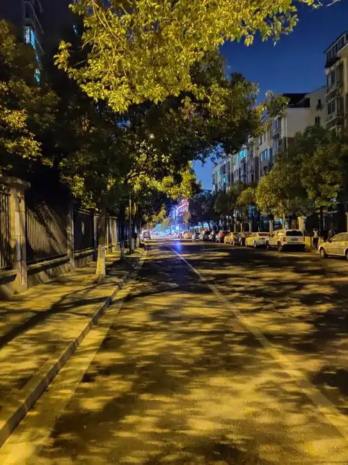 家门口的马路上随手抓拍,夜景模式呈现出非常完美的色彩!