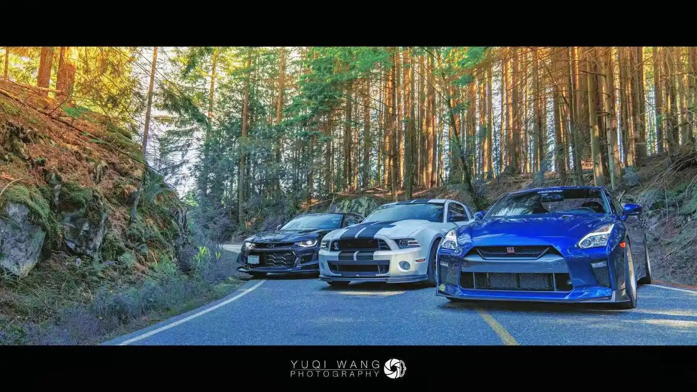 brother!#科迈罗 #gtr #福特野马 #用硬曲 - 抖音