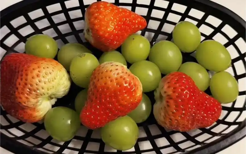 搞点水果次次吧