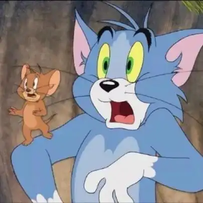 猫和老鼠头像搞笑恶搞高清很搞笑的猫和老鼠逗比头像图片