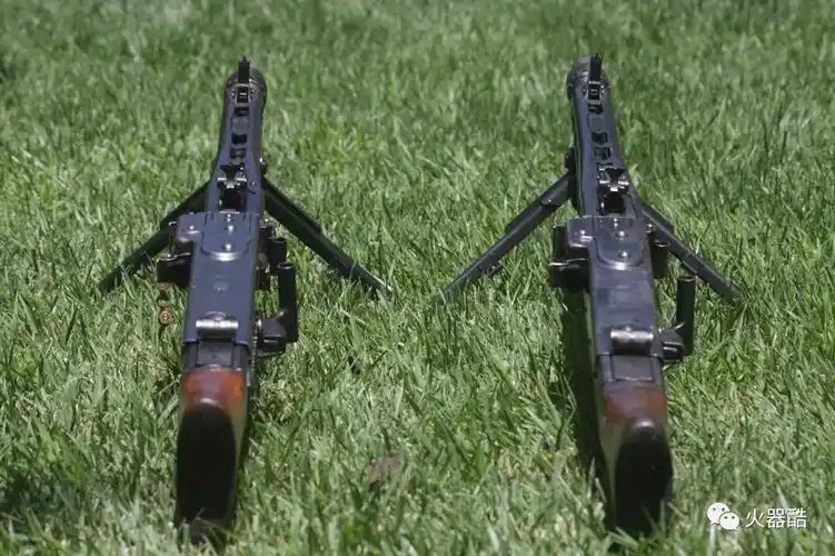 大年初一火器酷海外党枪械藏家枪械贺岁第二期