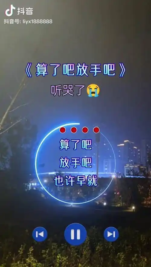 吧你永远都不知道我当时满眼是你为你痴狂的样子算了吧放手吧伤感音乐