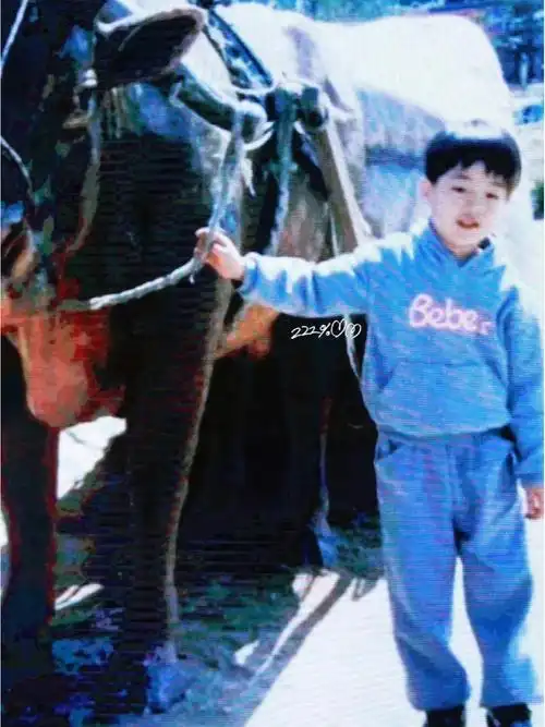 一些幼崽时期的南柱赫