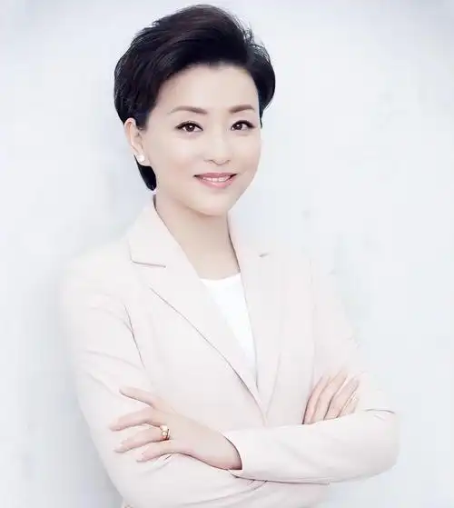 回顾杨澜:26岁告别央视,27岁嫁亿万丈夫,没有事情能阻挡回家喂奶