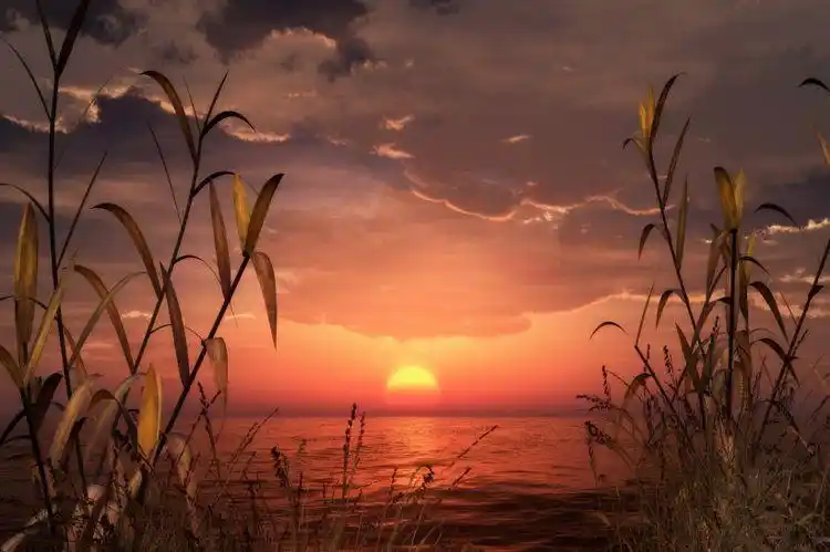 下周开始富贵盈门,天降鸿运,好运加身,财运亨通福禄双至的生肖