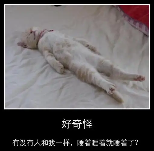 我也是啊,好奇怪