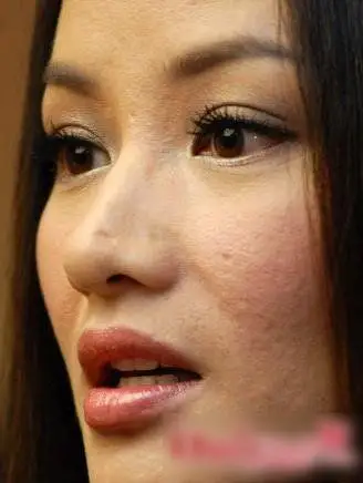 最难看卸妆素颜女星 蔡依林榜首