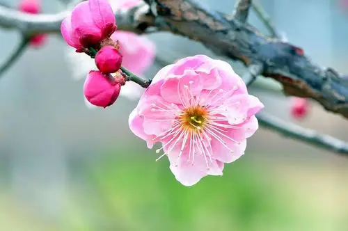 查看大图     曝光:   1/40 sec        光圈:   f11        快门