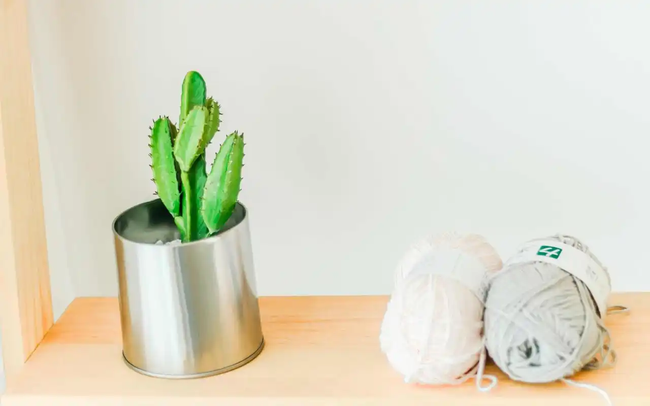 小清新治愈系居家静物图片电脑壁纸