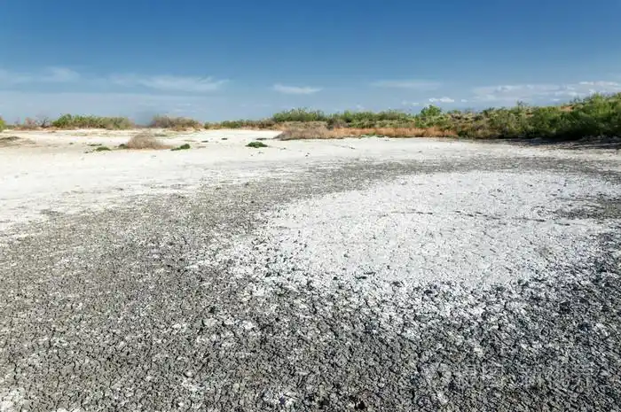 草原盐渍土在盐的盐渍盐草原草原ve