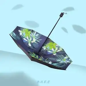 盛夏系列太阳伞晴雨伞折叠加固折叠ins黑胶创意森系简约伞架