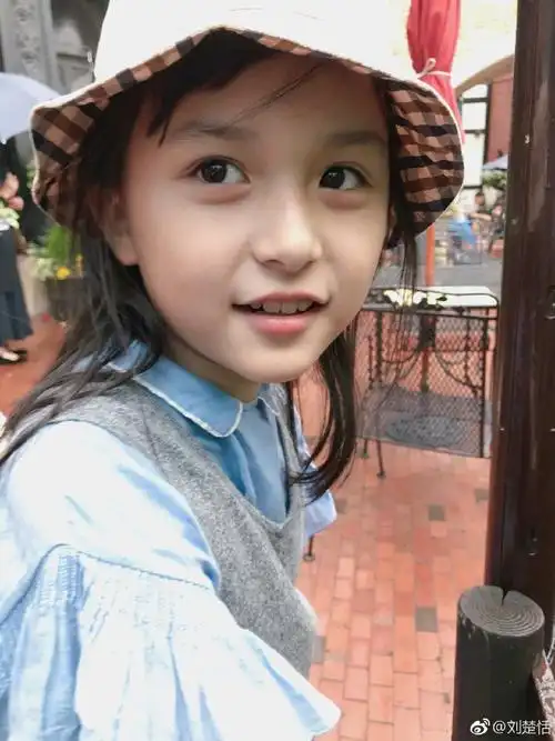 童星|刘楚恬|孙俪_新浪新闻