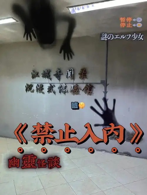 佳丽广场8楼,江汉路h出口剧情:故事发生在九十年代,那一年的武汉市受