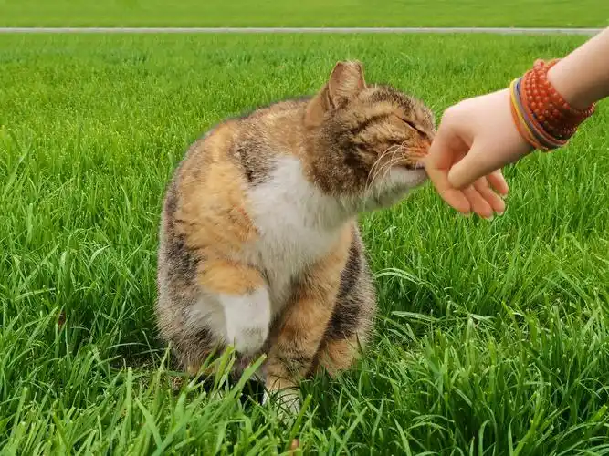 捕捉生活中可爱的每一个瞬间