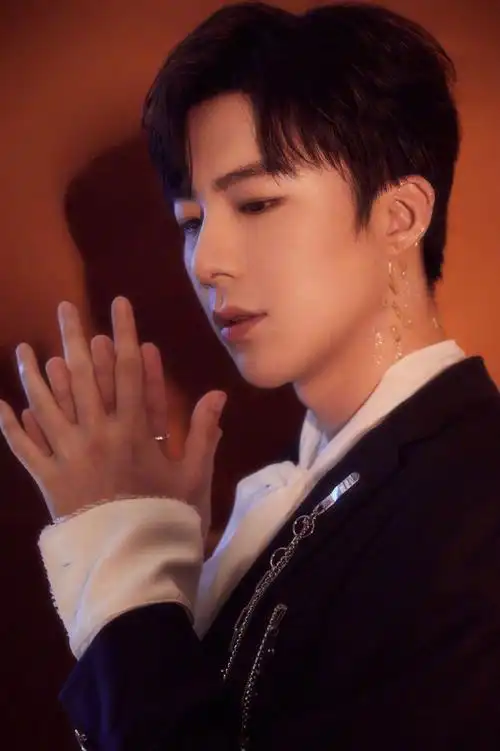 刘宇宁经典复古魅力写真图片29