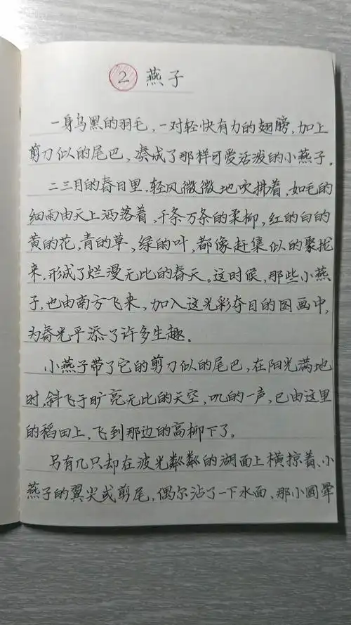 抗疫日记——记录一位普通老师和他的学生们的点滴