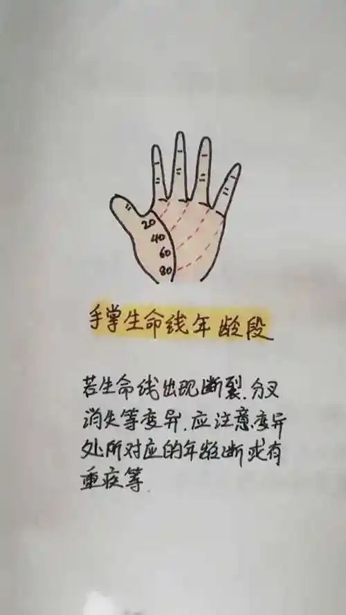 生命线的长短与寿命长短