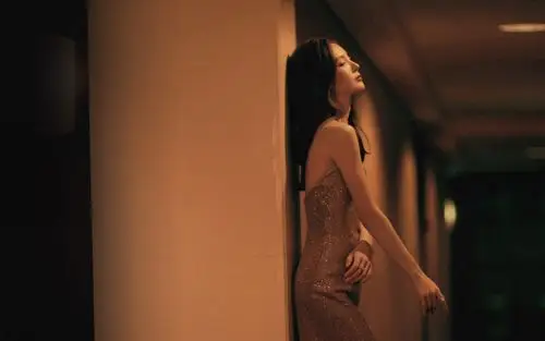 金晨粉钻流光裙性感写真桌面壁纸