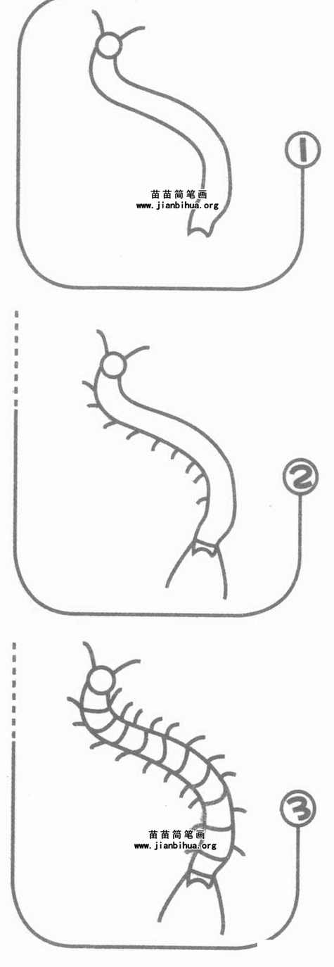小蜈蚣的简笔画视频教程