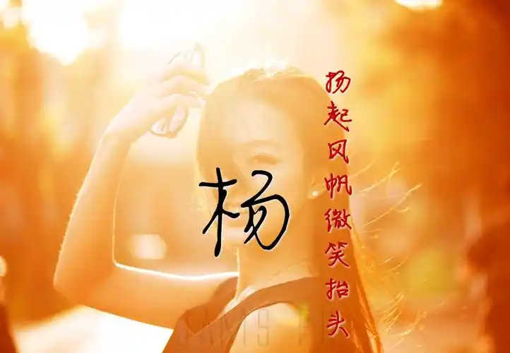 我姓杨姓氏壁纸