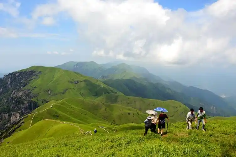 天下一绝:萍乡武功山高山草甸_发展论坛_新华社区