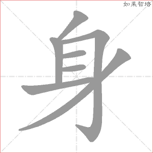 身字的笔顺动画