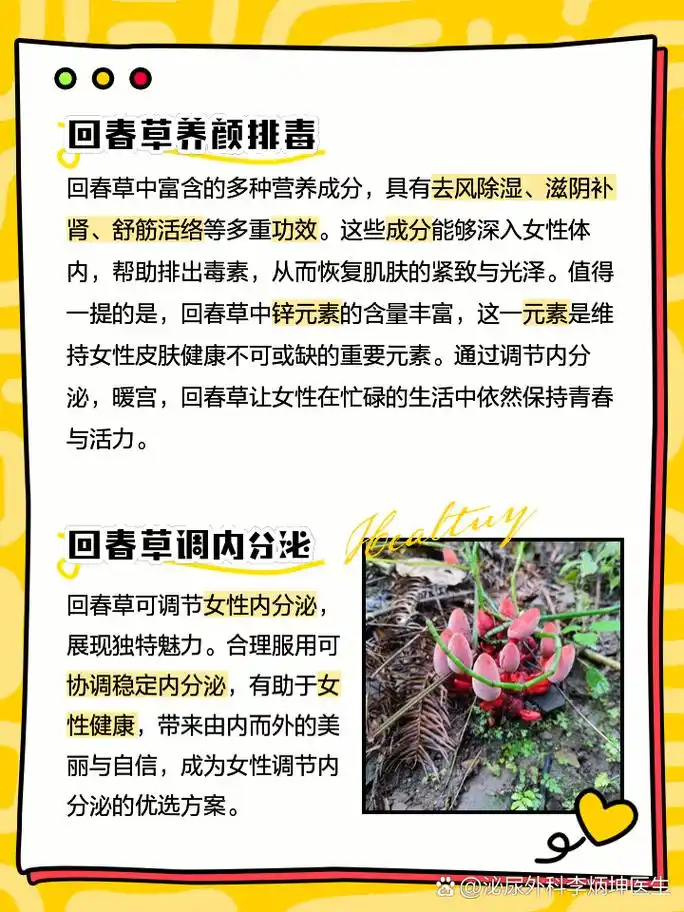 女人吃回春草的功效与作用 姐妹们有没有发现,最近大家都在讨论一种