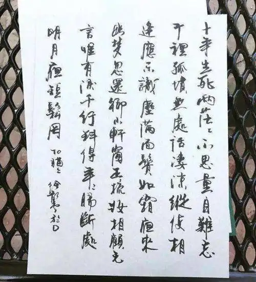 徐静蕾书法欣赏:字体古香古色,章法严谨规矩,网友:人美字更美