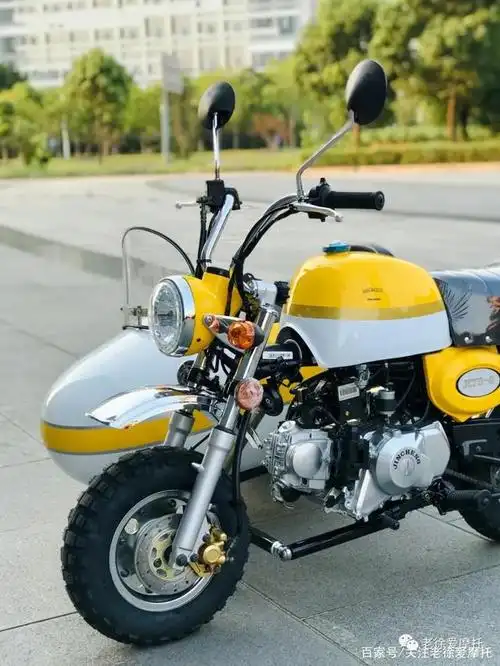 最萌侉子-金城monkey金童70 定制改装边三轮