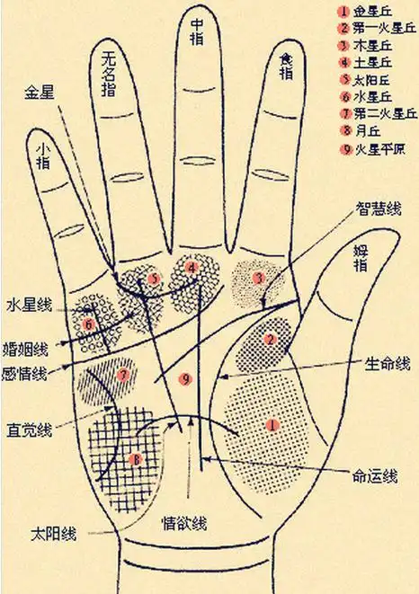 如何看手相相,有先天和后天之分,你知道吗?