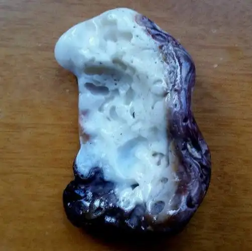 遇到这种丑贝壳一定要捡回家!它比玛瑙贵100倍 还能保佑全家平安