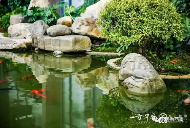 听说了吗?兴义桔山有一处泉眼被发现