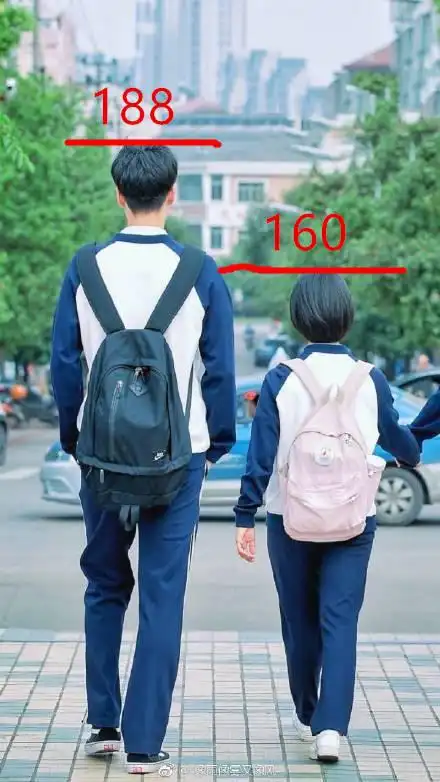 所以,沈月的身高估计在154cm左右.