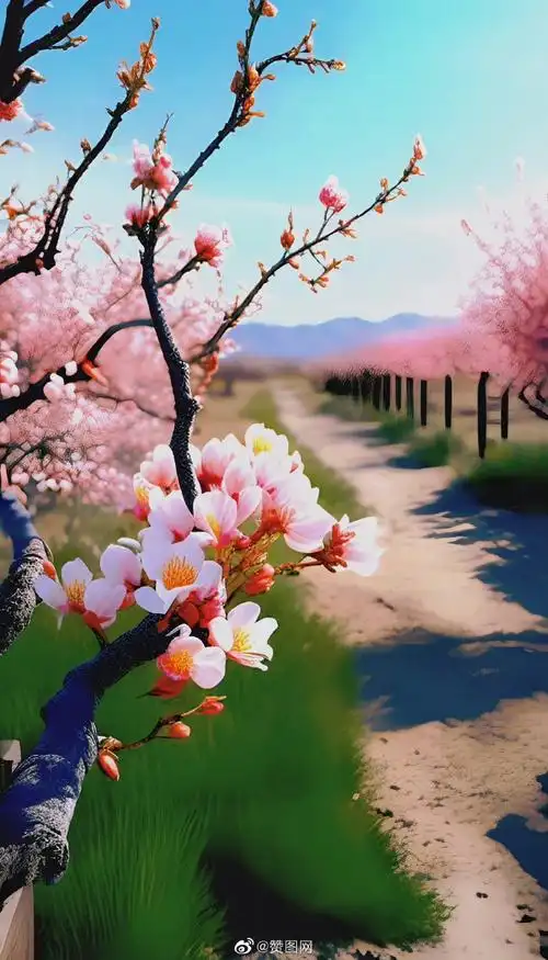 桃花壁纸##四月头像##桃花映日出迎接四月