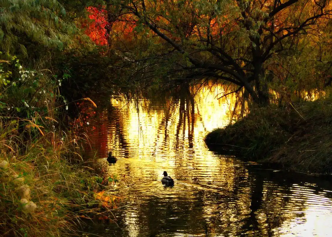 说到"望穿秋水"这个成语,一般多用于对相恋之人和亲人盼望的一种