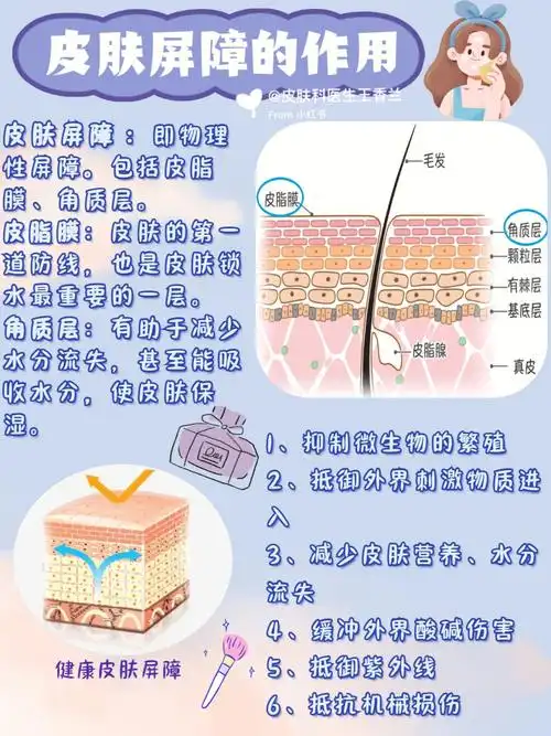 干货敏感肌皮肤屏障受损不用愁75