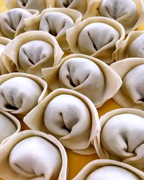 apple-214做的鲜肉虾仁青菜大馄饨