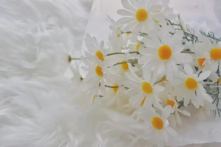 电脑壁纸 桌面壁纸 聊天背景 锁屏壁纸 ins … - 堆糖,美图壁纸兴趣社