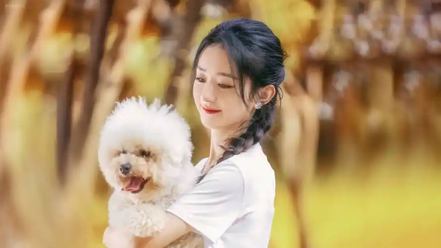 27娱乐爆料:赵丽颖,王一博,杨颖,杨紫,唐嫣,李兰迪,陈坤,何炅_原名_张