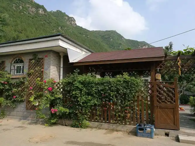 精致的小院,纯真的感情