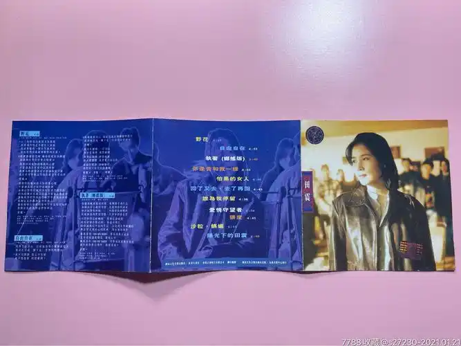 田震《野花》港压版cd
