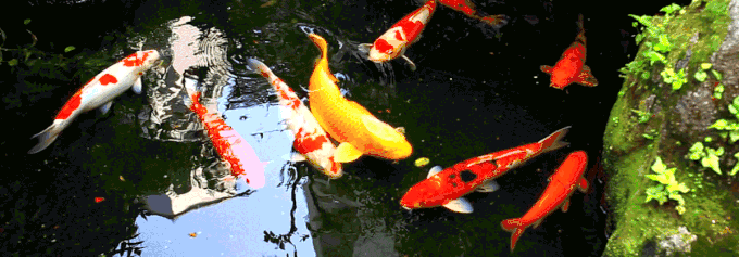 680_237gif 动态图 动图