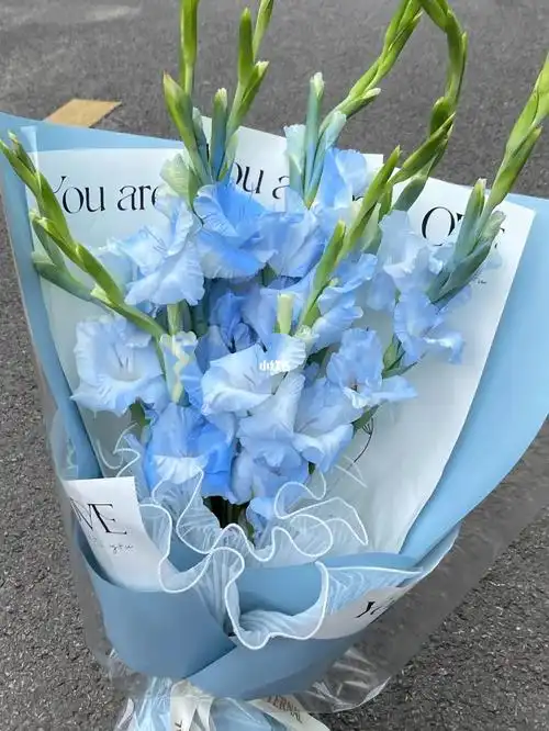 蓝色系花束昆明花店