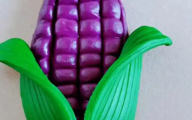 好吃的紫色大玉米