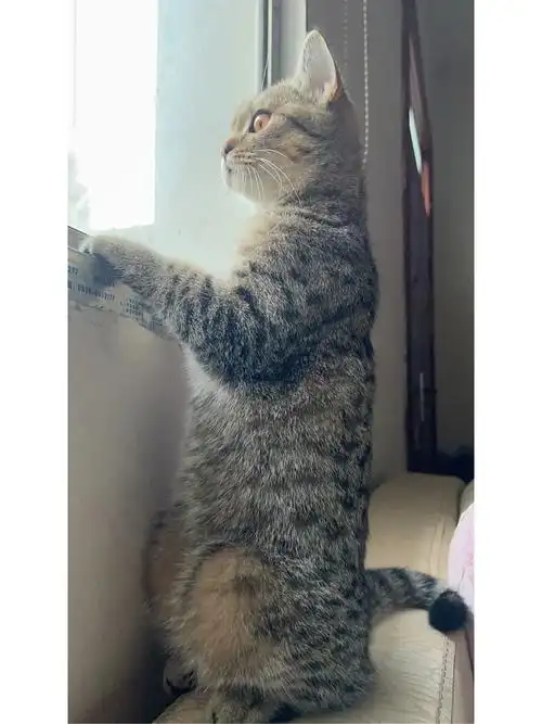 望眼欲穿 真的超级喜欢外面啊