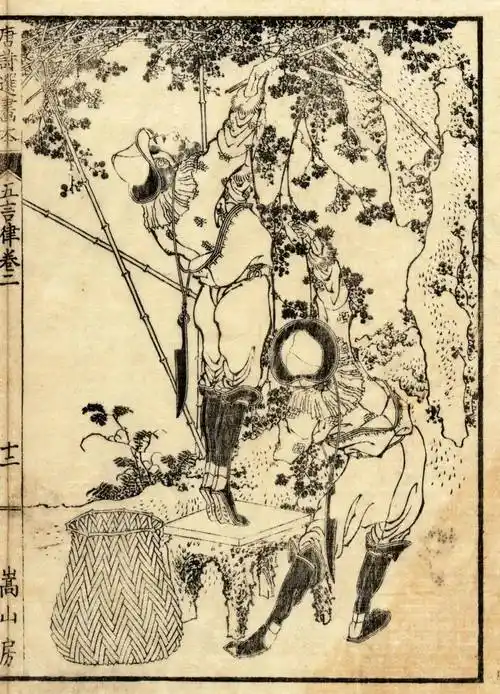 人间的万物春秋——葛饰北斋珍贵线稿_浮世绘_笔下_绘画