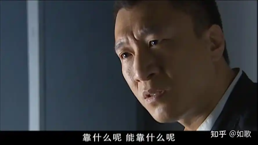 20集电视连续剧征服