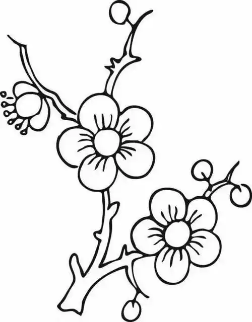 这样画梅花太简单了梅花简笔画图片_儿童梅花简笔画大全梅花简笔画